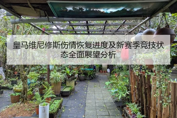 皇马维尼修斯伤情恢复进度及新赛季竞技状态全面展望分析